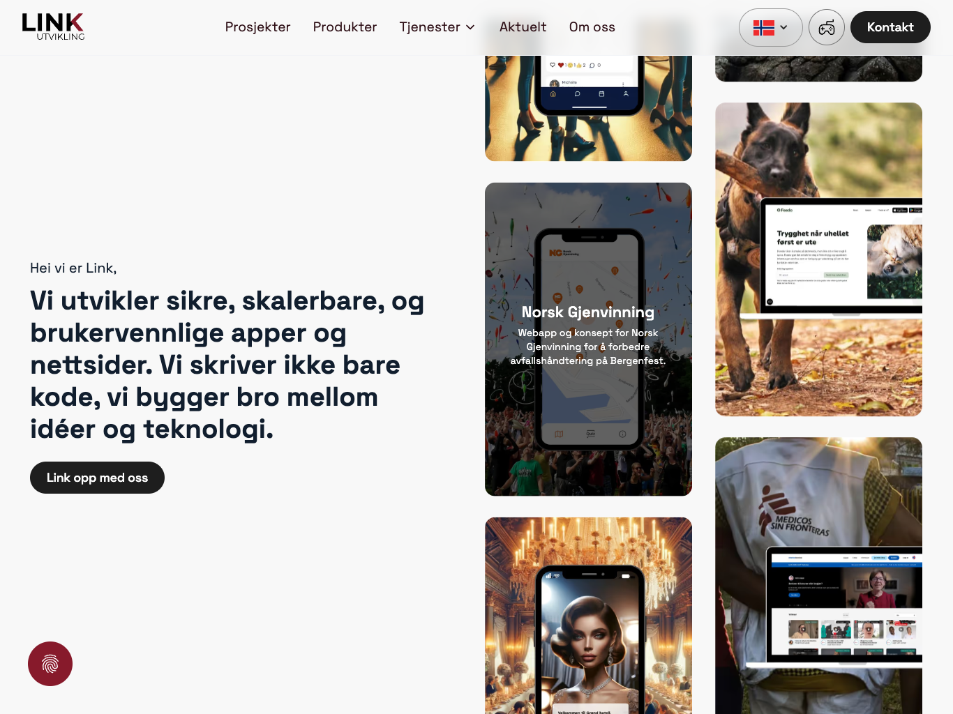 Link Utvikling